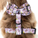 Pablo & Co Adjustable Harness Out of This World