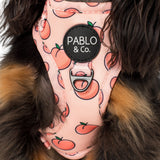 Pablo & Co Adjustable Harness Peaches & Cream