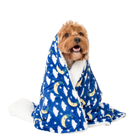 Pablo & Co Sweet Dreams Dog Blanket