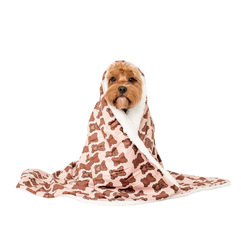 Pablo & Co Teddy Bears Dog Blanket