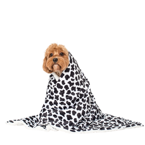 Pablo & Co Moo Moo Dog Blanket