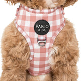 Pablo & Co Adjustable Harness Chocolate Gingham