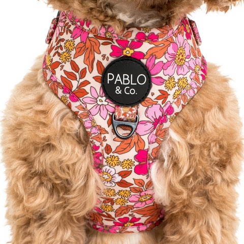 Pablo & Co Adjustable Harness Pink Posies