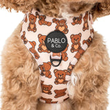 Pablo & Co Adjustable Harness Teddy Bear Picnic