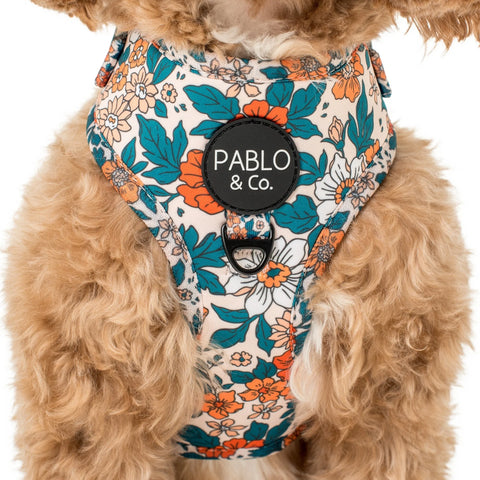 Pablo & Co Wildflowers Adjustable Harness
