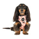 Pablo & Co Adjustable Harness Peaches & Cream
