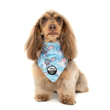 Pablo & Co Dog Bandana Dumbo in the Clouds