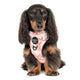 Pablo & Co Adjustable Harness Oh Deer