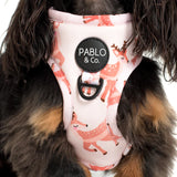 Pablo & Co Adjustable Harness Oh Deer