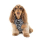 Pablo & Co Adjustable Harness Black & White Zebra