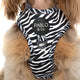 Pablo & Co Adjustable Harness Black & White Zebra