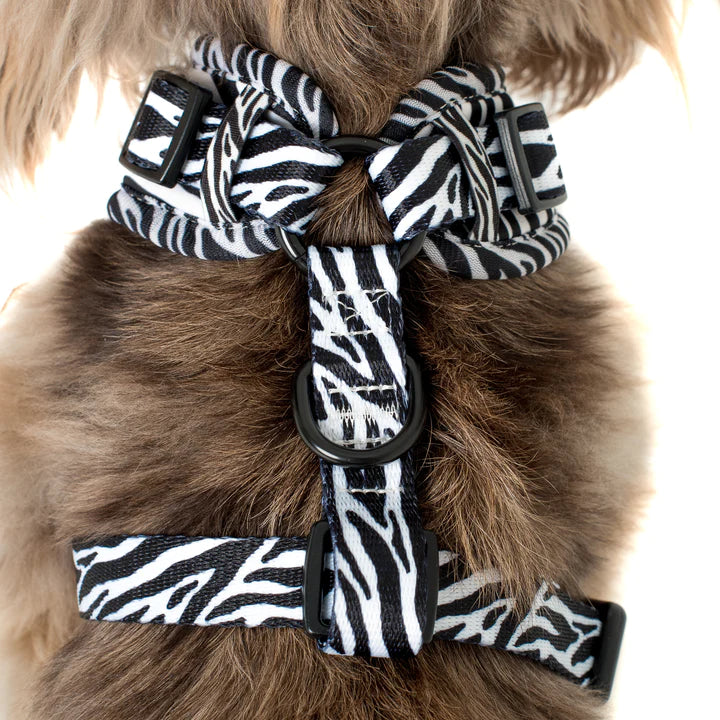 Pablo & Co Adjustable Harness Black & White Zebra