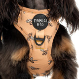 Pablo & Co Adjustable Harness Bumblebee