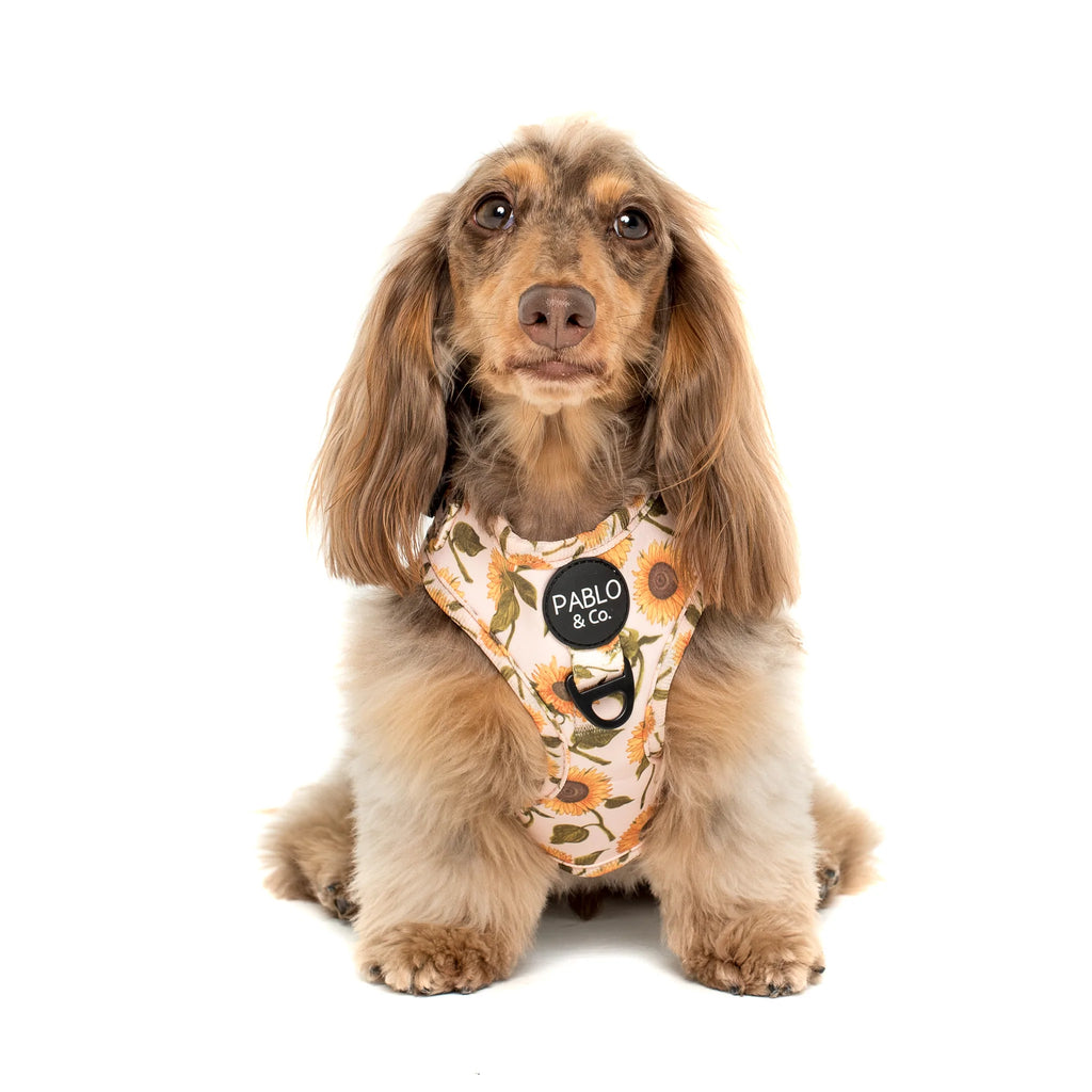 Pablo & Co Adjustable Harness Sunflowers