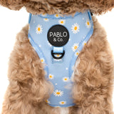 Pablo & Co Blue Daisy Adjustable Harness