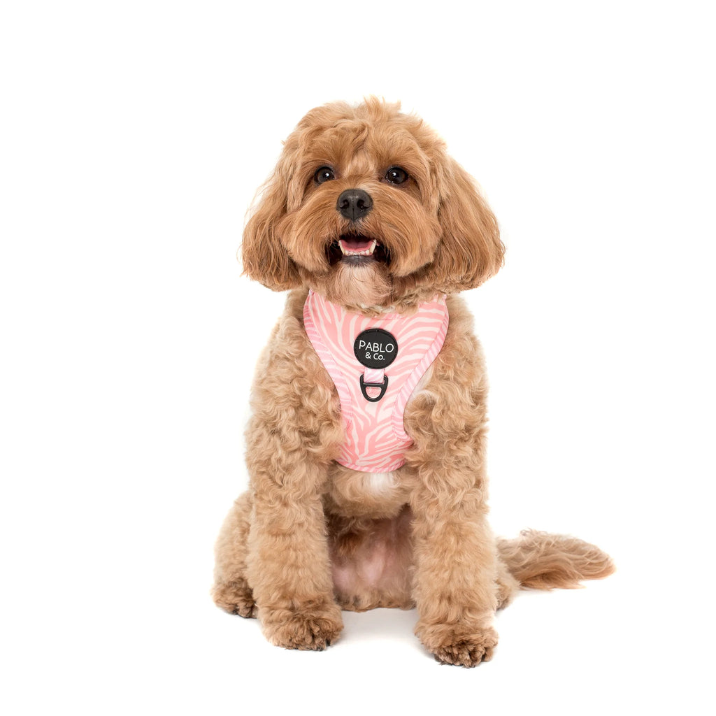 Pablo & Co Adjustable Harness Pink Zebra
