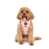 Pablo & Co Adjustable Harness Pink Zebra