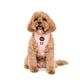 Pablo & Co Adjustable Harness Pink Zebra