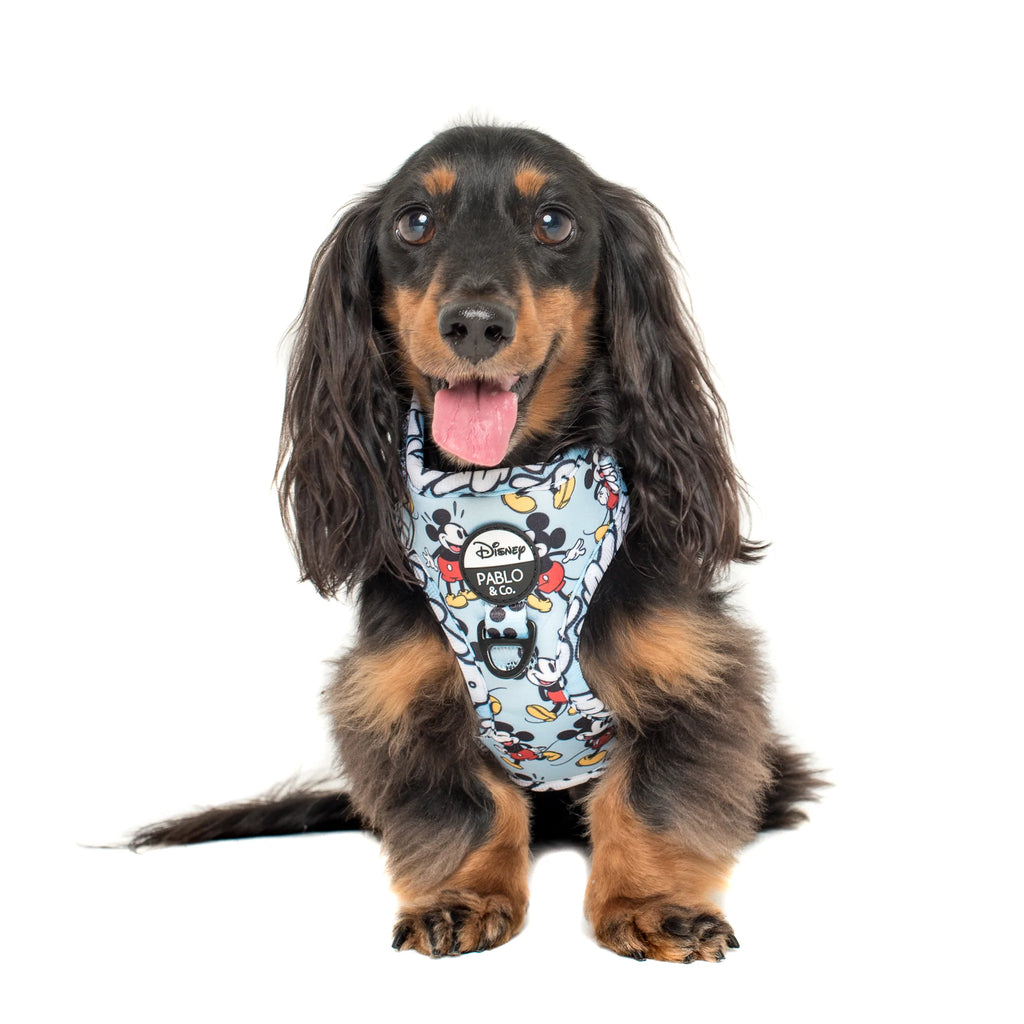 Pablo & Co Adjustable Harness The Original Mickey Mouse