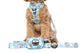 Pablo & Co Poop Bag Holder Dumbo in the Clouds