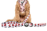 Pablo & Co Dog Leash Minnie Mouse