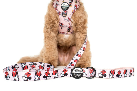 Pablo & Co Dog Leash Minnie Mouse
