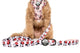 Pablo & Co Dog Leash Minnie Mouse