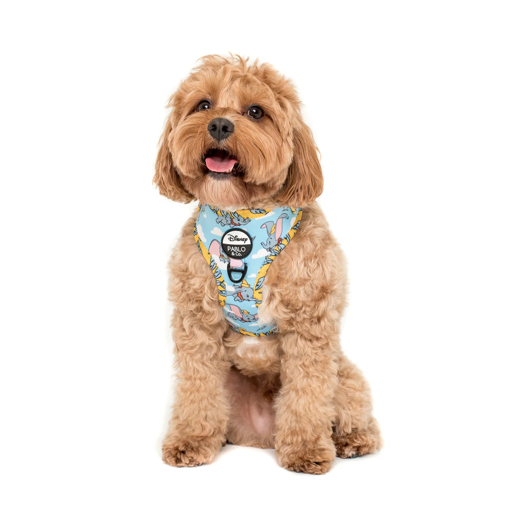 Pablo & Co Adjustable Harness Dumbo in the Clouds
