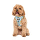 Pablo & Co Adjustable Harness Dumbo in the Clouds