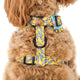 Pablo & Co Adjustable Harness Dumbo in the Clouds