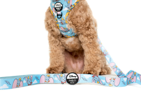 Pablo & Co Dog Leash Dumbo in the Clouds