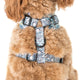 Pablo & Co Adjustable Harness The Original Mickey Mouse