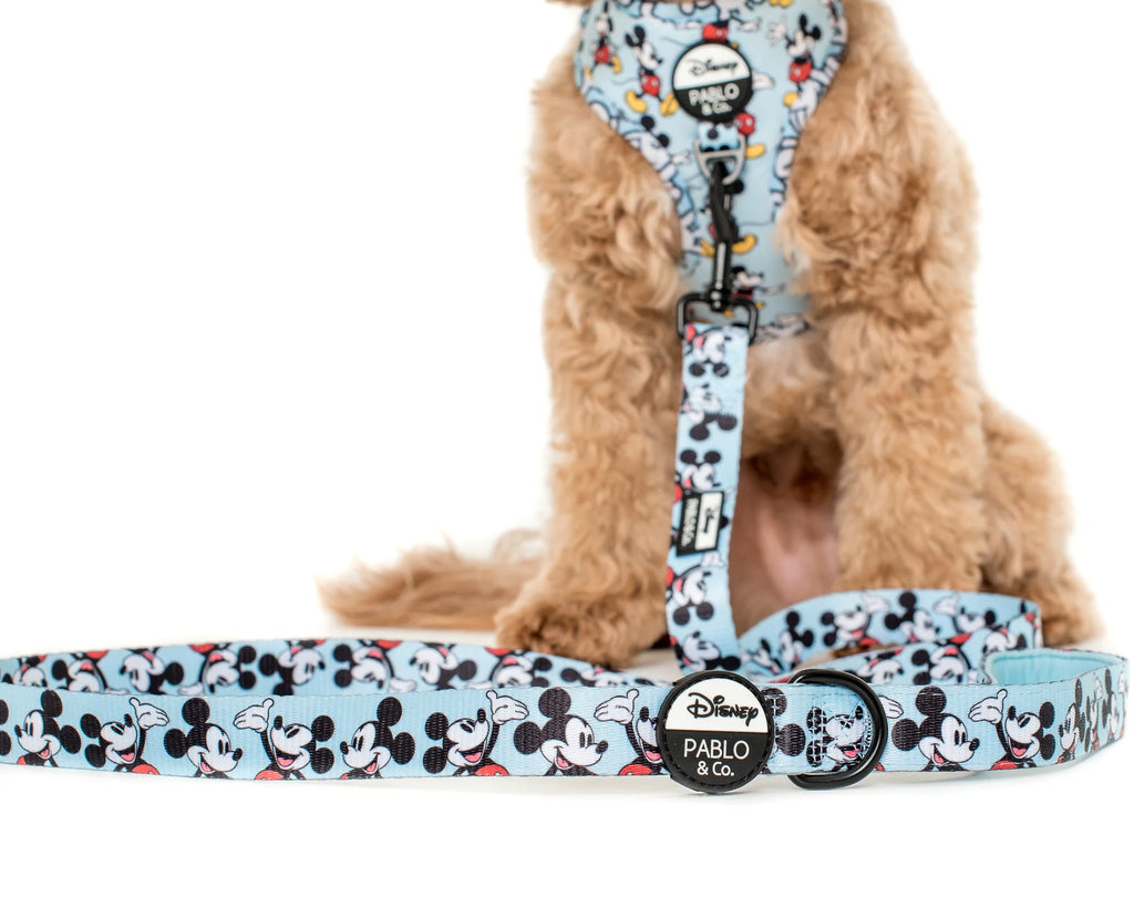 Pablo & Co Dog Leash The Original Mickey Mouse