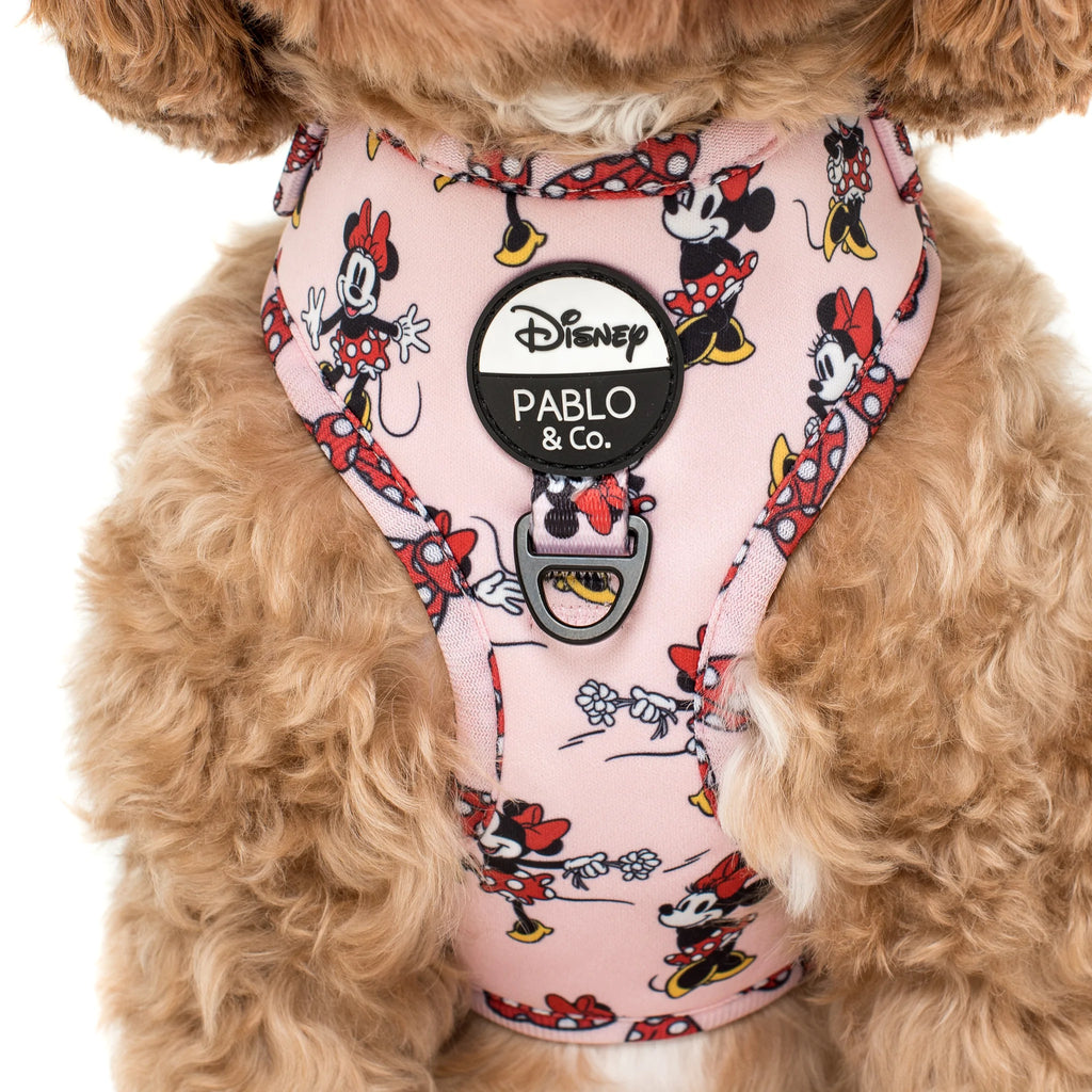 Pablo & Co Adjustable Harness Minnie Mouse & Flowers