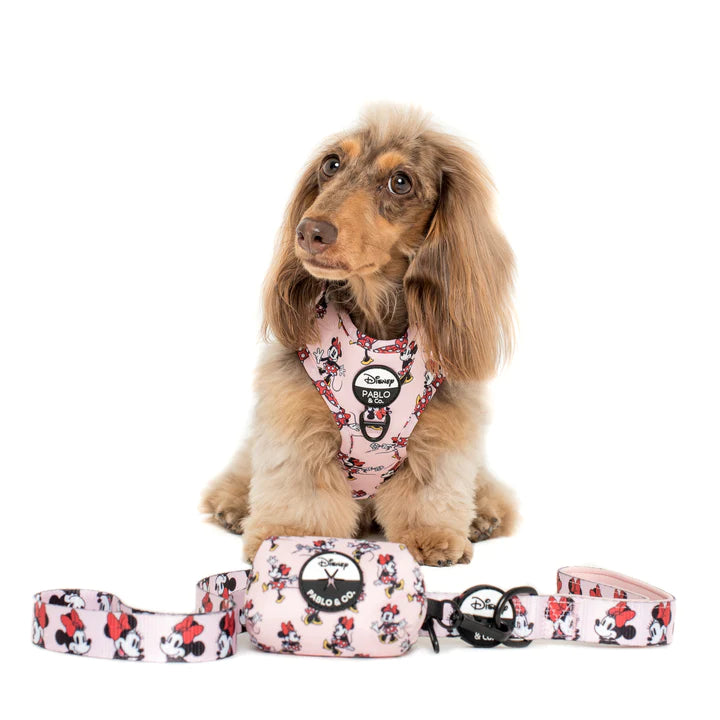 Pablo & Co Adjustable Harness Minnie Mouse & Flowers