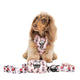 Pablo & Co Adjustable Harness Minnie Mouse & Flowers
