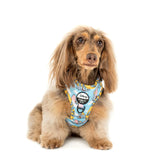 Pablo & Co Adjustable Harness Dumbo in the Clouds
