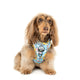 Pablo & Co Adjustable Harness Dumbo in the Clouds