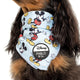 Pablo & Co Dog Bandana The Original Mickey Mouse
