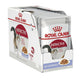 Royal Canin Cat Adult Instinctive Jelly Pouch 85g