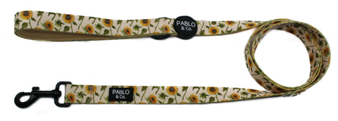Pablo & Co Lead Sunflowers