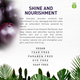 Amazonia Good Care Grooming Kit ACAI