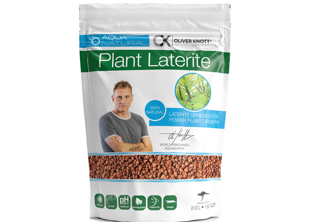 Oliver Knott Plant Laterite 2L