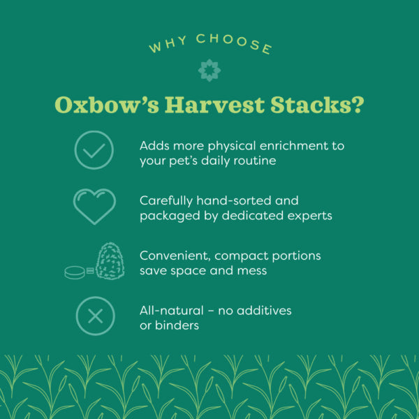 Oxbow Harvest Stacks - Western Timothy with Chamomile