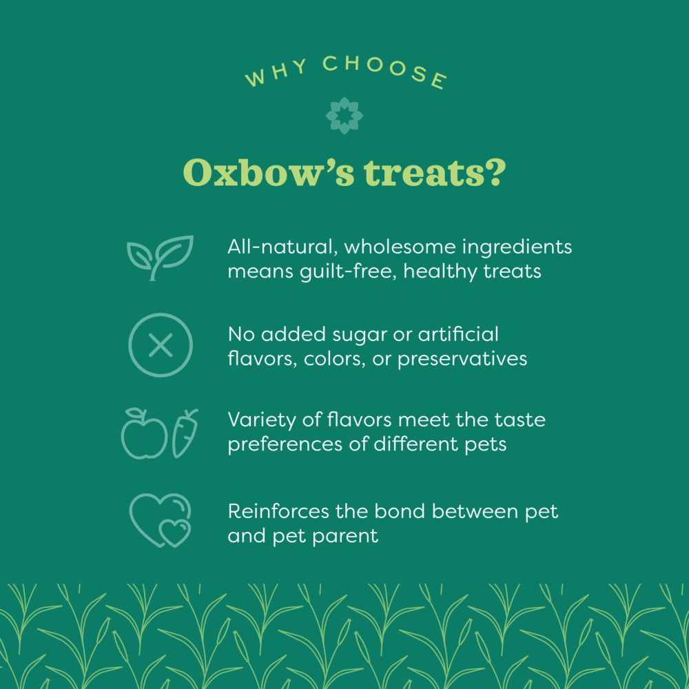 Oxbow Simple Rewards Baked Treats with Cranberry