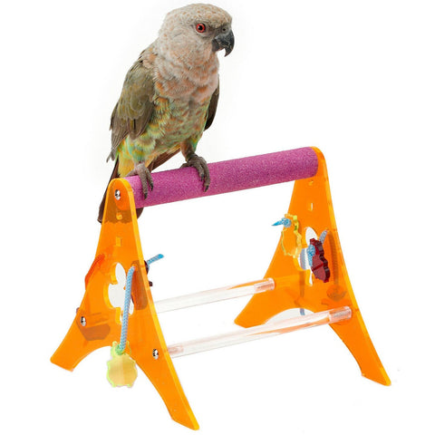 MyBestFriend Acrylic Triangle Bird Stand