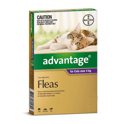 Upmarket Pets & Aquarium | Advantage Cat Over 4kg Purple | Shop flea treatment online
