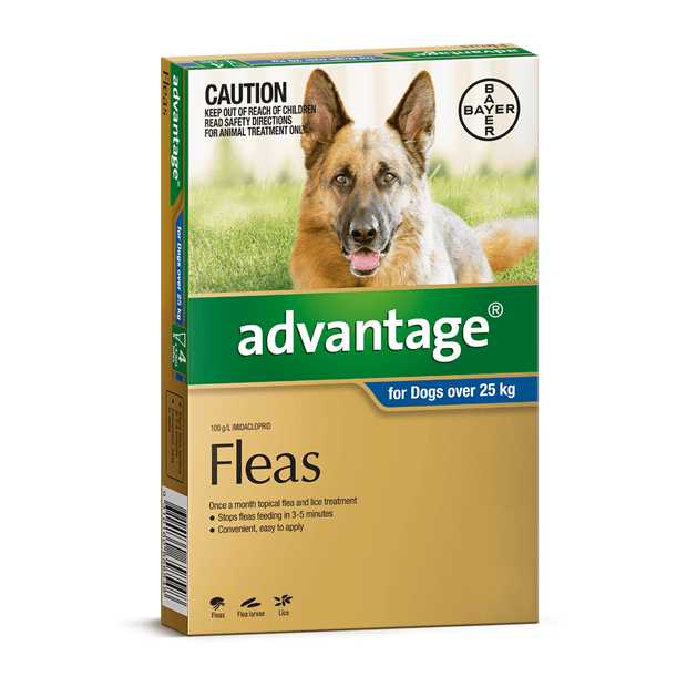 Upmarket Pets & Aquarium | Advantage Dog Over 25kg Blue | Shop flea treatment online