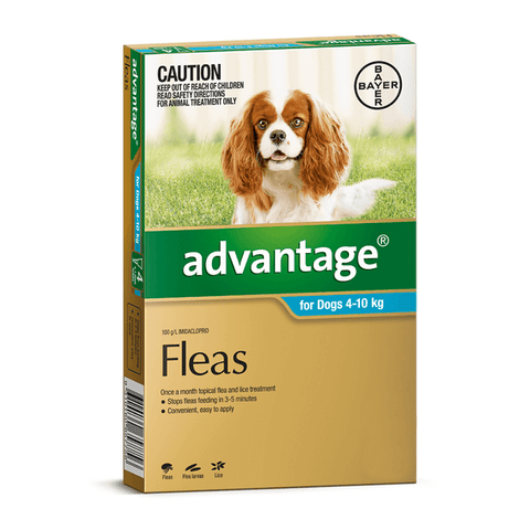 Upmarket Pets & Aquarium | Advantage Dog 4 - 10kg Aqua | Shop flea treatment online