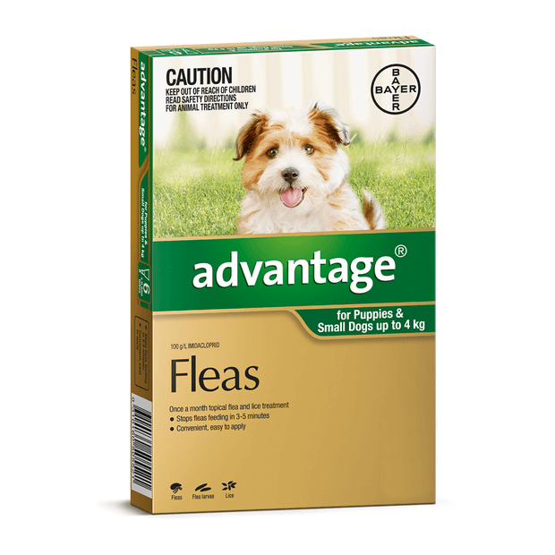 Upmarket Pets & Aquarium | Advantage Dog Up To 4kg | Shop flea treatment online